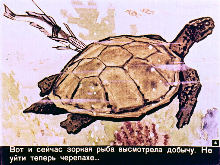Кадр 4 диафильма «Большая жемчужина»