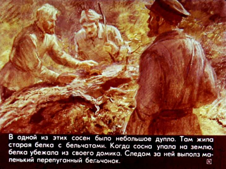 Кадр 5 диафильма «Щедрый ежик»