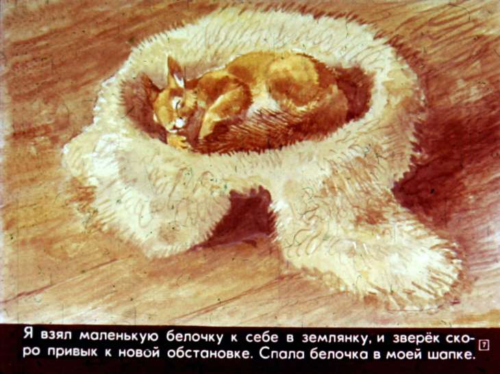 Кадр 7 диафильма «Щедрый ежик»
