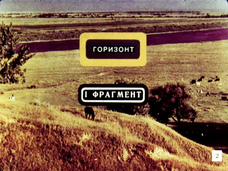 Кадр 3 диафильма «Природа родного края»