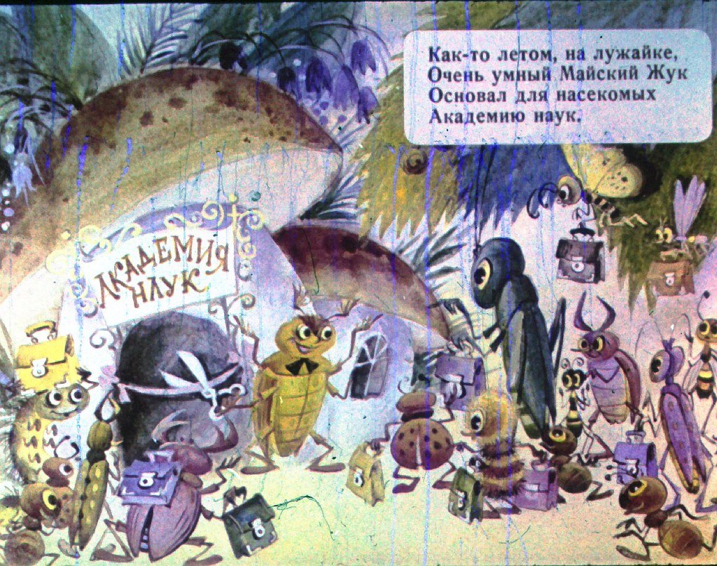Кадр 2 диафильма «Лесная академия»