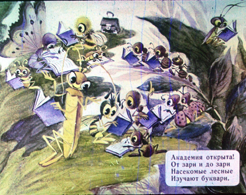 Кадр 3 диафильма «Лесная академия»
