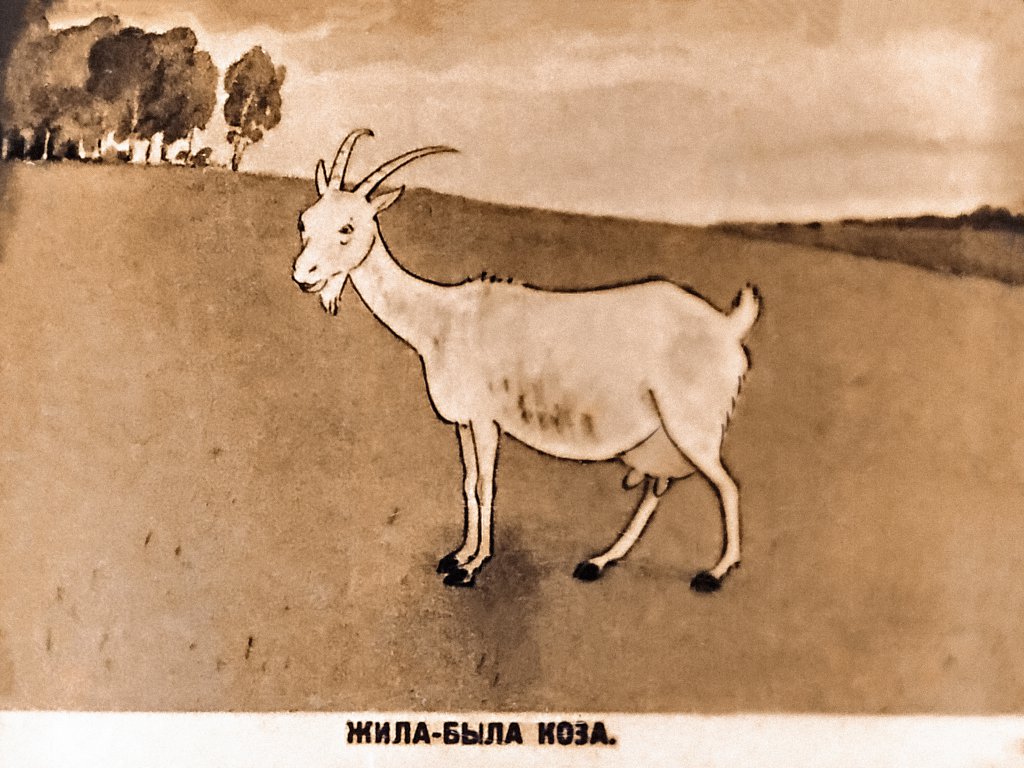Кадр 3 диафильма «Коза и козлята»