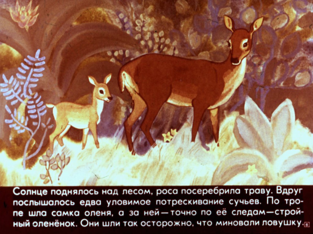 Кадр 6 диафильма «Колдовство оленя»
