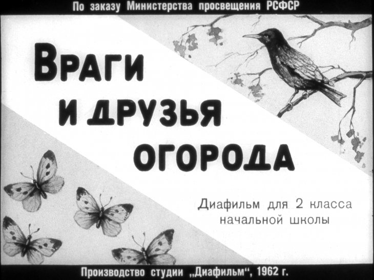 Кадр 1 диафильма «Враги и друзья огорода»