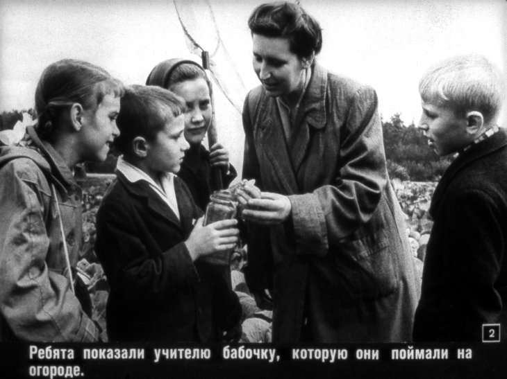 Кадр 2 диафильма «Враги и друзья огорода»