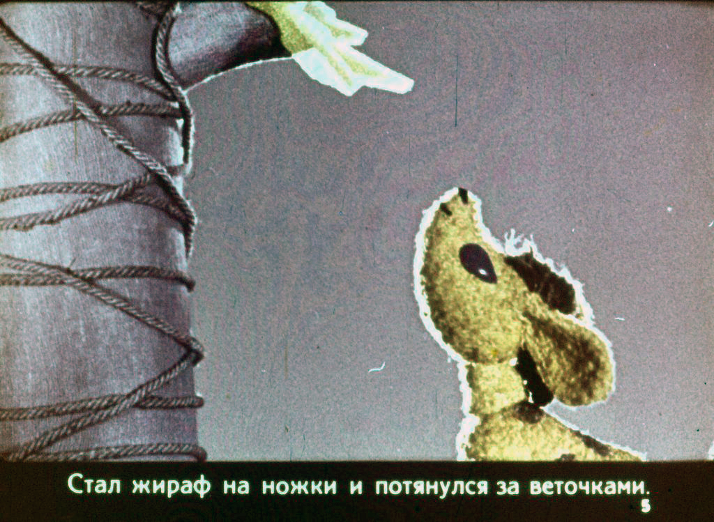 Кадр 5 диафильма «Почему у жирафа шея длинная, а рожки короткие»