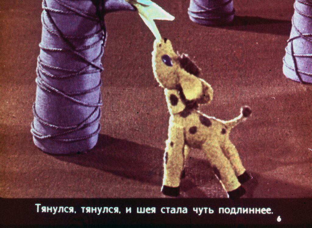 Кадр 6 диафильма «Почему у жирафа шея длинная, а рожки короткие»