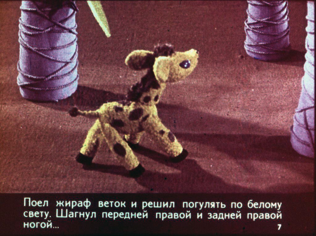 Кадр 7 диафильма «Почему у жирафа шея длинная, а рожки короткие»