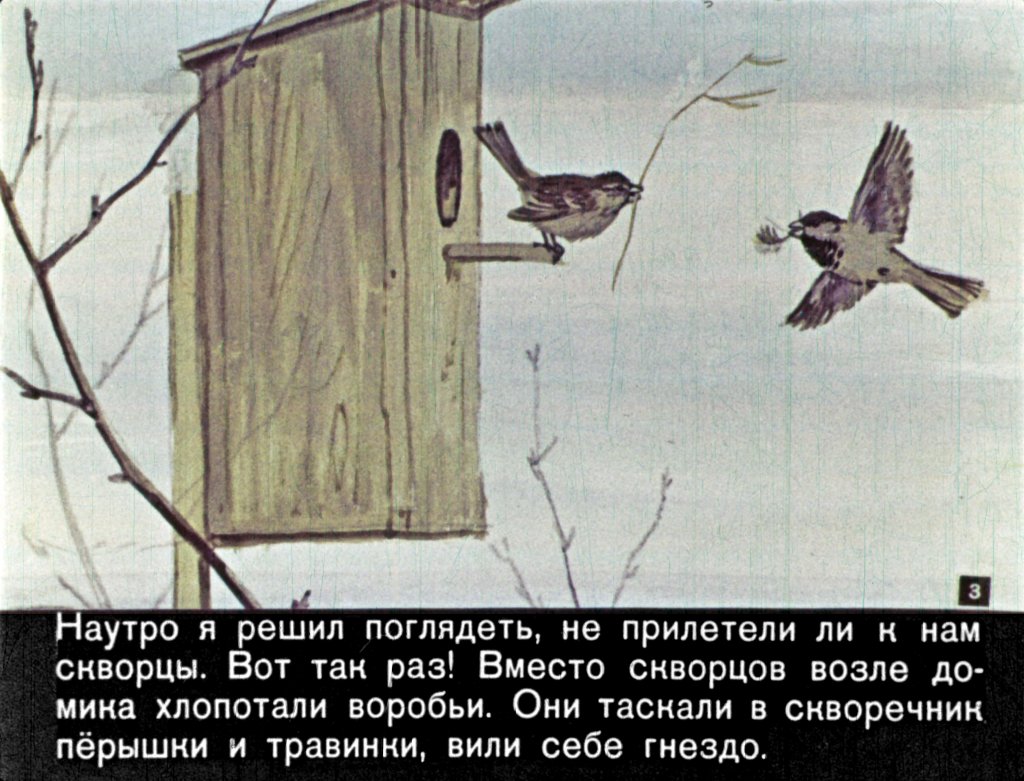 Кадр 3 диафильма «Чир Чирыч»