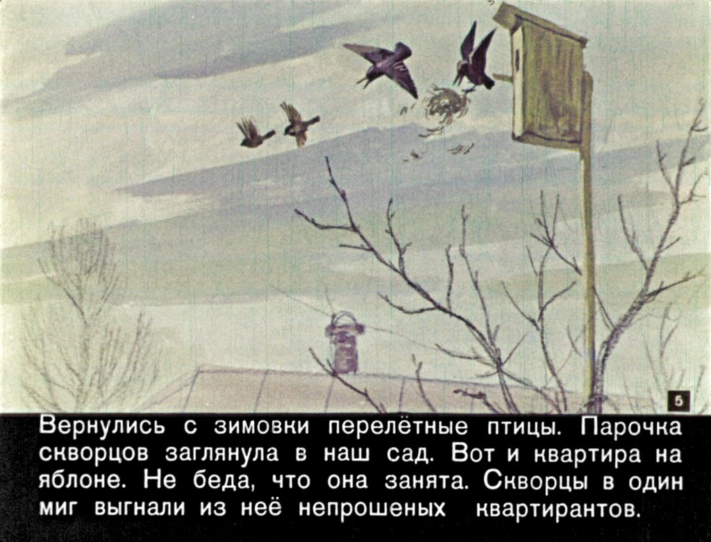 Кадр 5 диафильма «Чир Чирыч»
