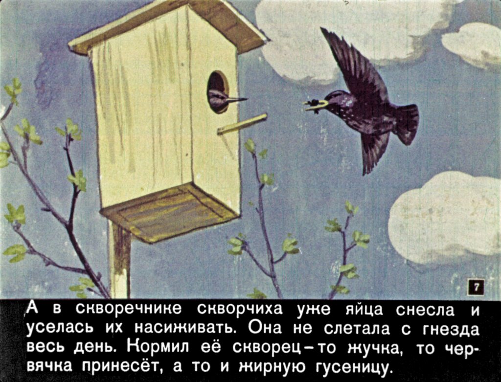 Кадр 7 диафильма «Чир Чирыч»