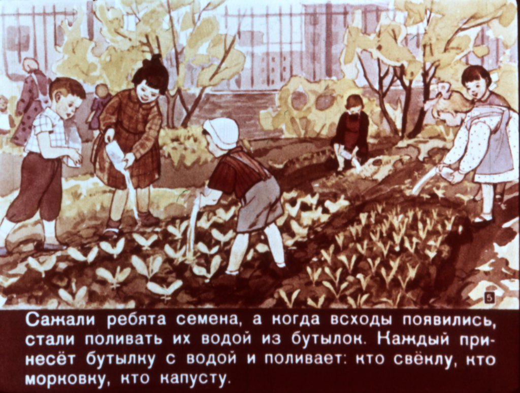 Кадр 5 диафильма «Хитрый огурчик»
