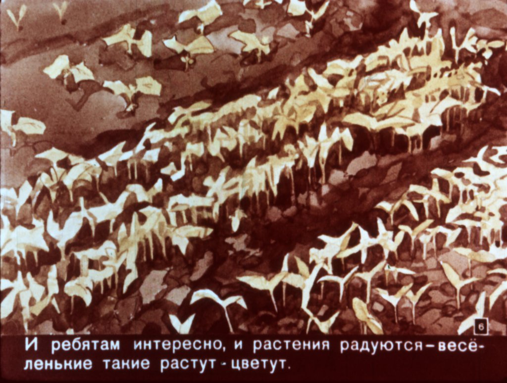 Кадр 6 диафильма «Хитрый огурчик»
