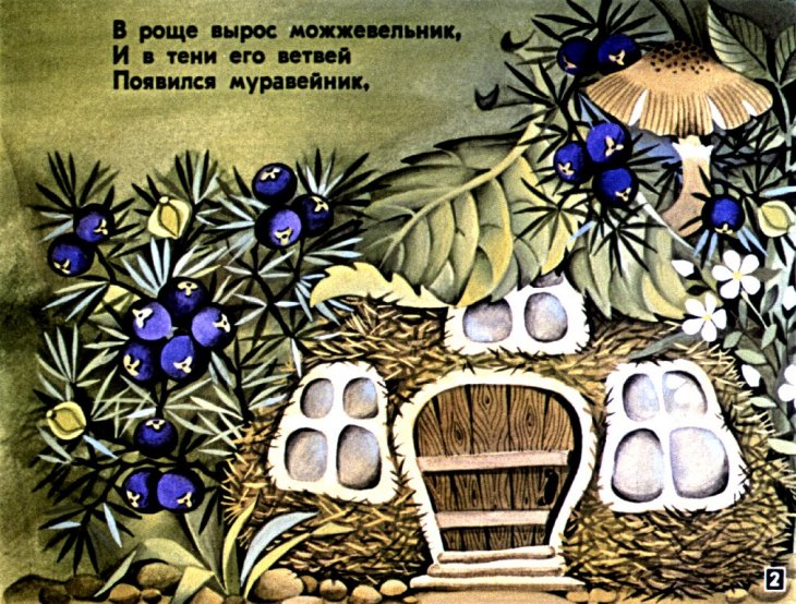 Кадр 2 диафильма «Зеленая аптека»