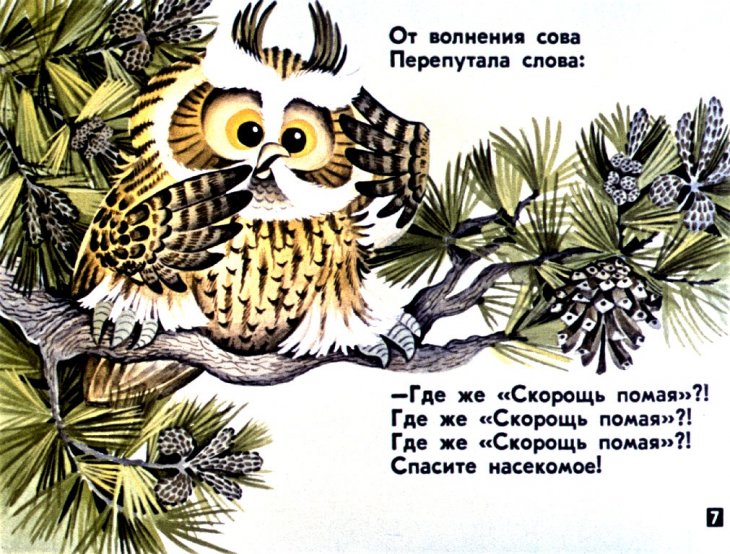 Кадр 7 диафильма «Зеленая аптека»