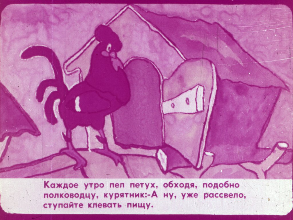 Кадр 3 диафильма «Полуцыпленок»