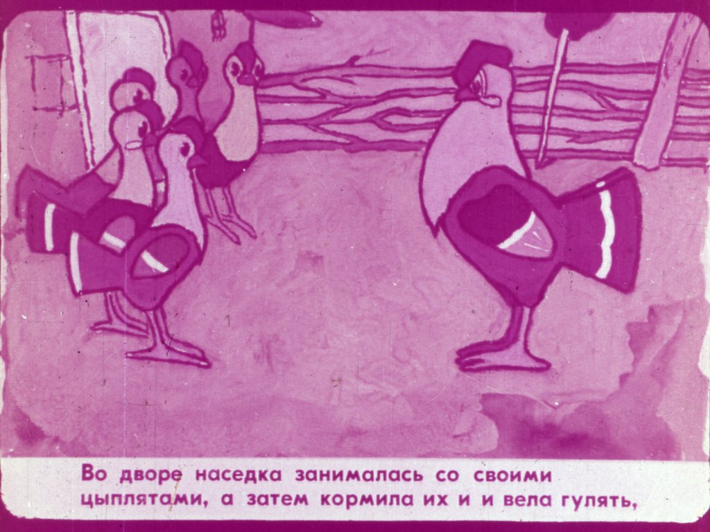 Кадр 4 диафильма «Полуцыпленок»