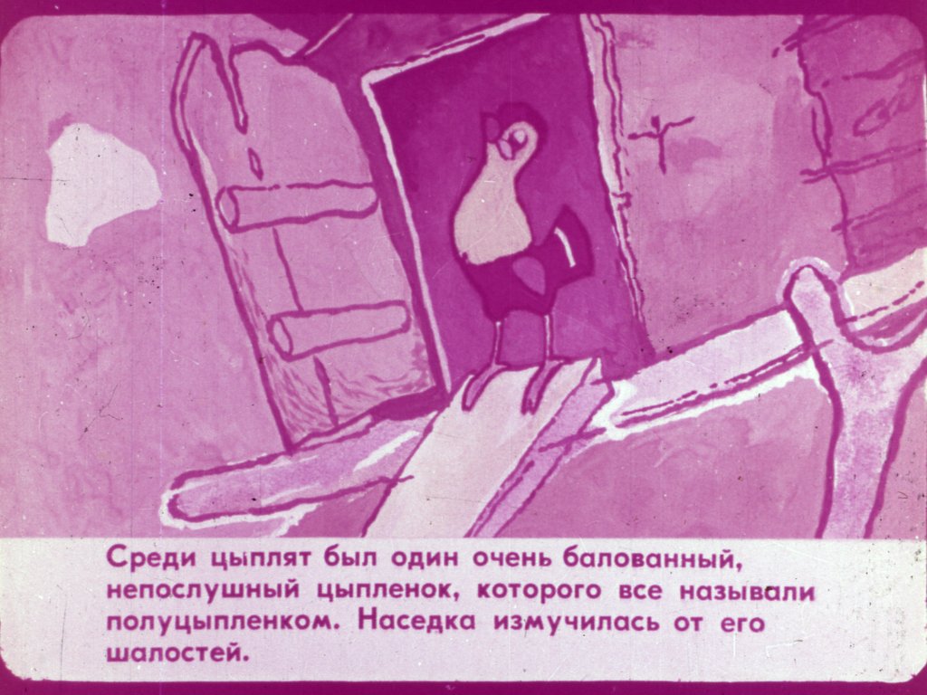 Кадр 5 диафильма «Полуцыпленок»