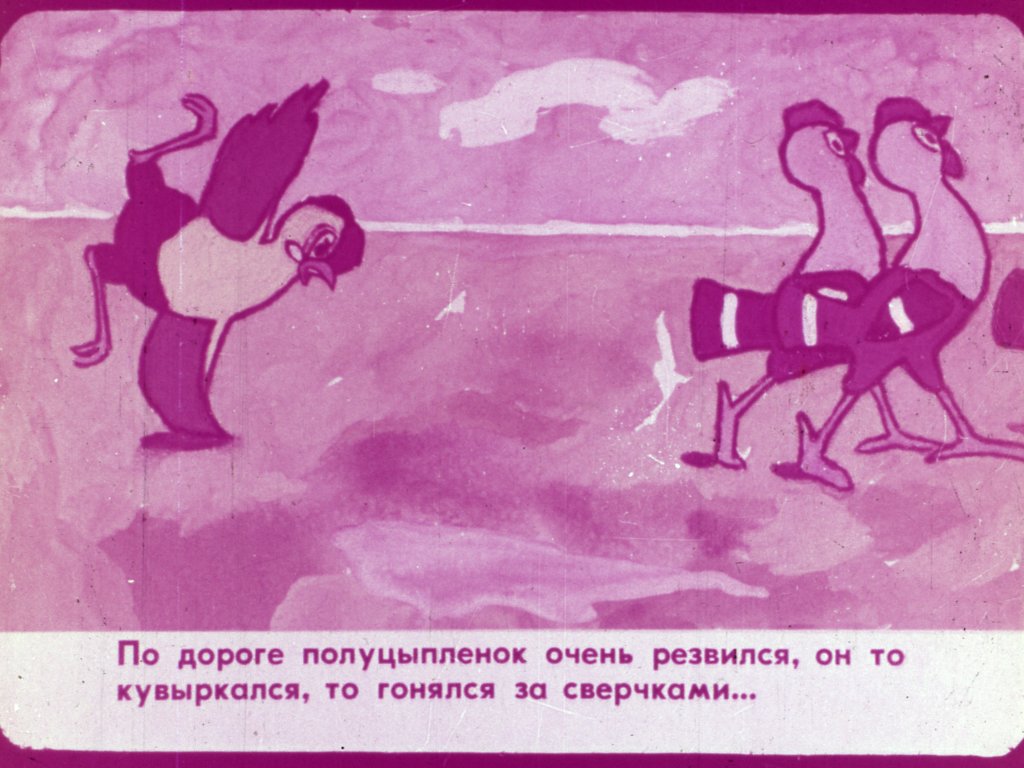 Кадр 6 диафильма «Полуцыпленок»
