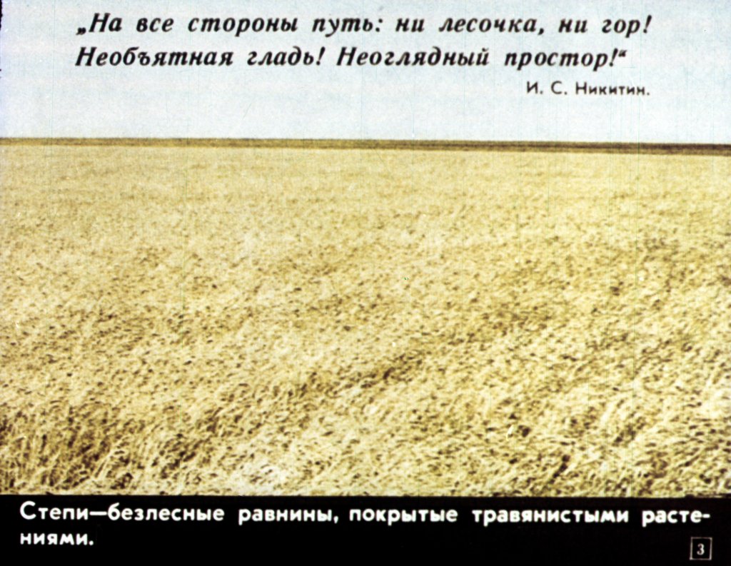 Кадр 3 диафильма «В степях»