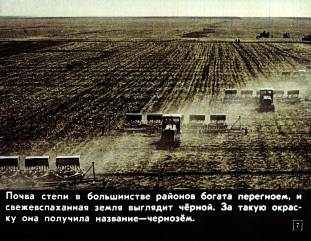 Кадр 7 диафильма «В степях»