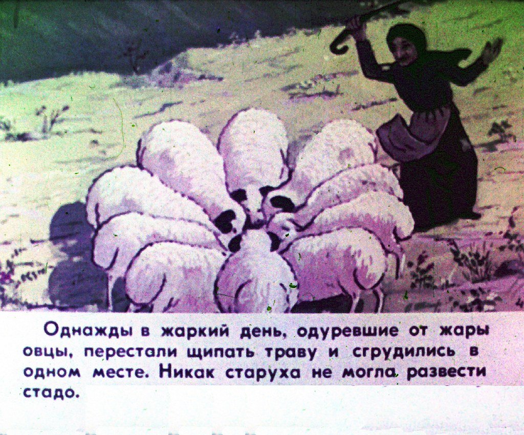 Кадр 5 диафильма «Лиса и медведь. Часть 1»