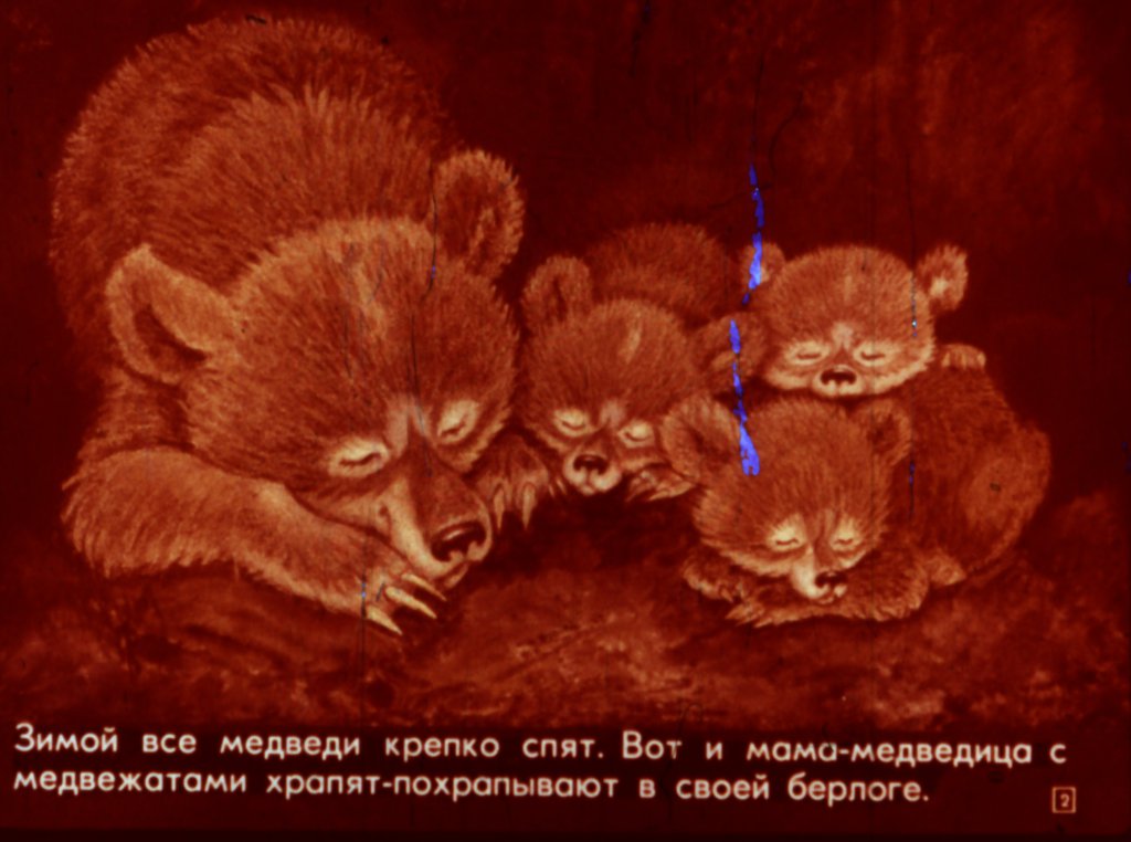 Кадр 2 диафильма «Как Мишук шел по следу»