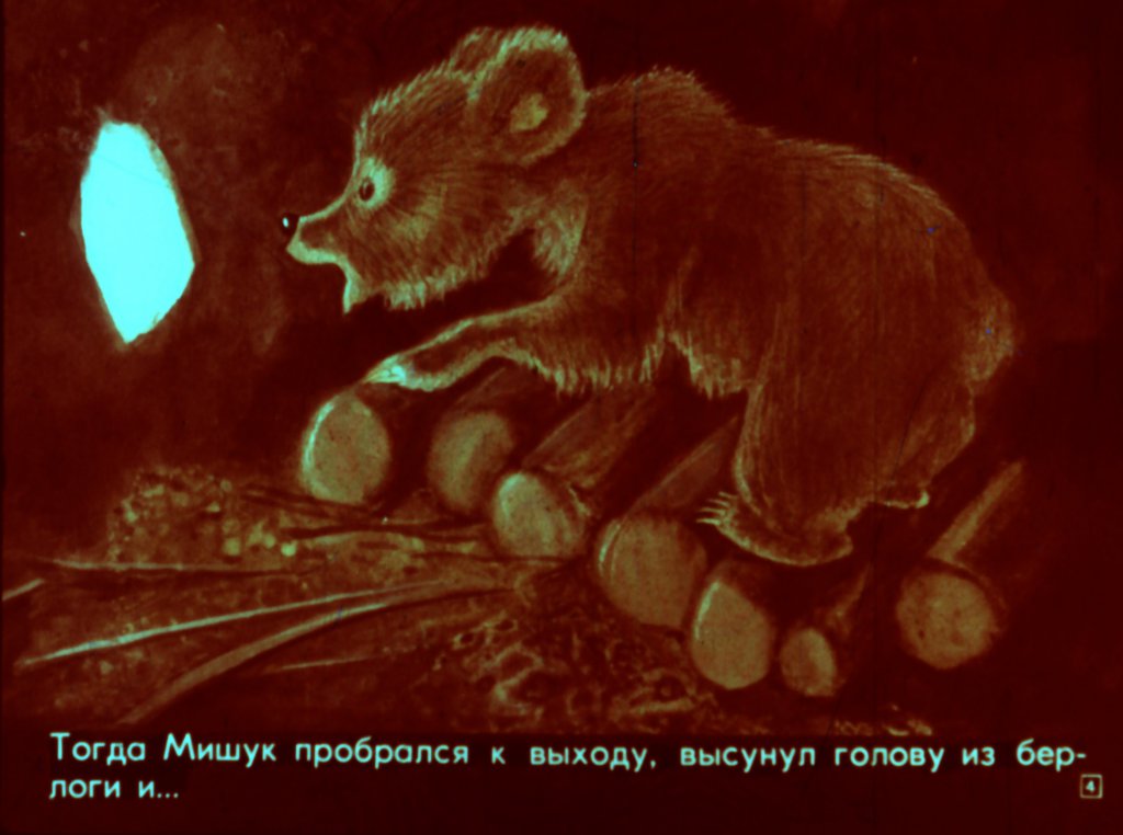 Кадр 4 диафильма «Как Мишук шел по следу»