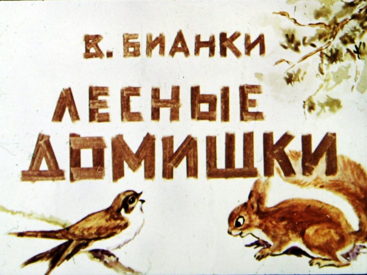 Кадр 1 диафильма «Лесные домишки»