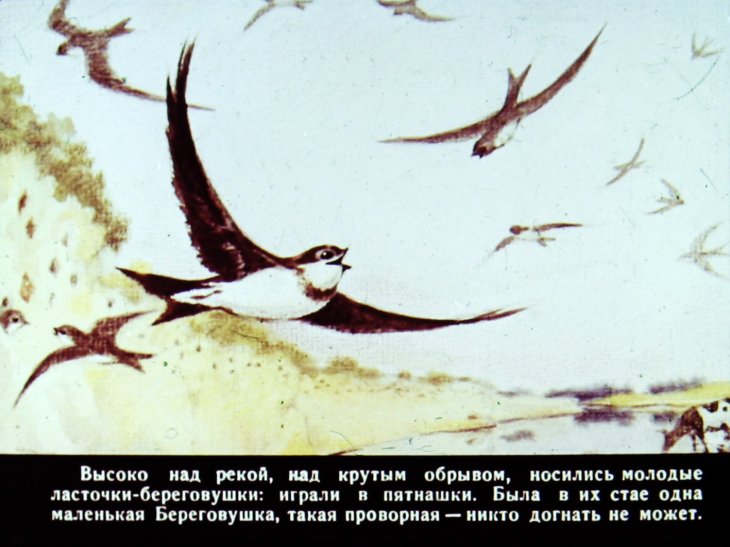 Кадр 2 диафильма «Лесные домишки»