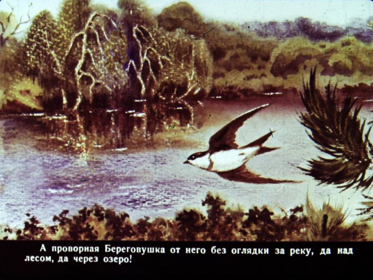 Кадр 4 диафильма «Лесные домишки»