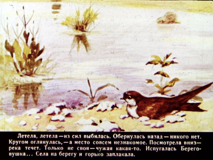Кадр 5 диафильма «Лесные домишки»