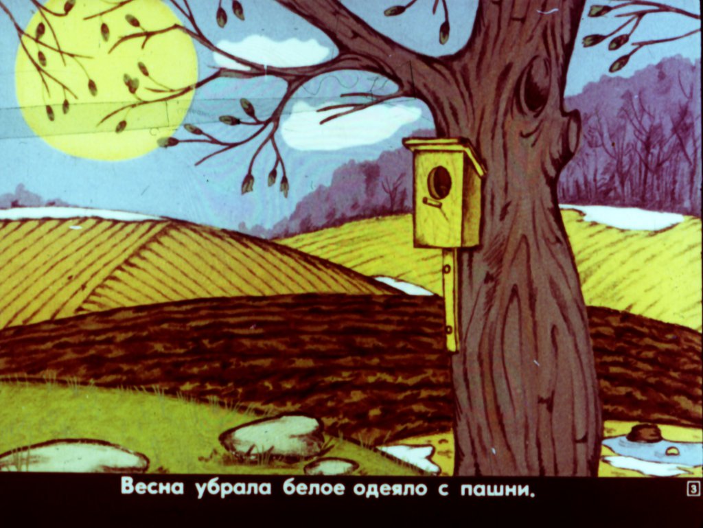 Кадр 2 диафильма «Дождик из семян»