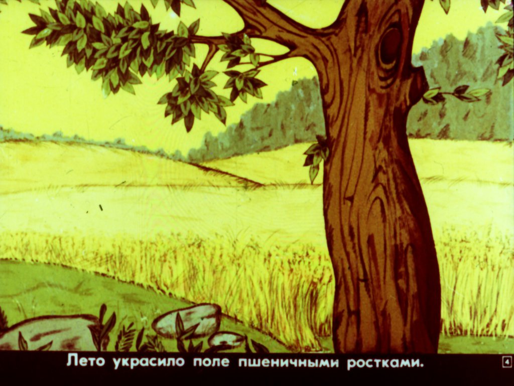 Кадр 3 диафильма «Дождик из семян»