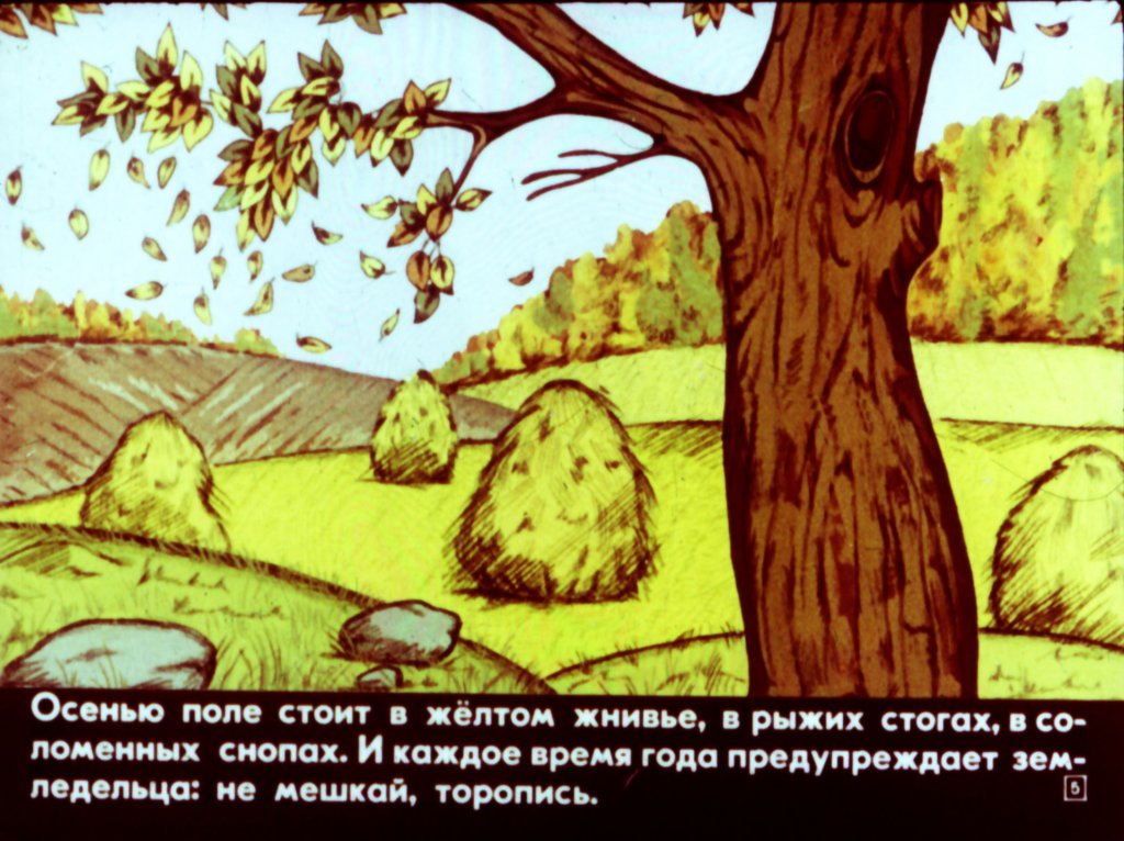 Кадр 4 диафильма «Дождик из семян»
