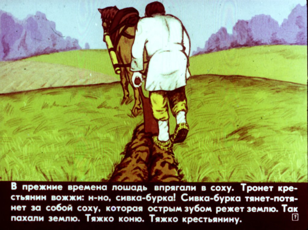 Кадр 6 диафильма «Дождик из семян»