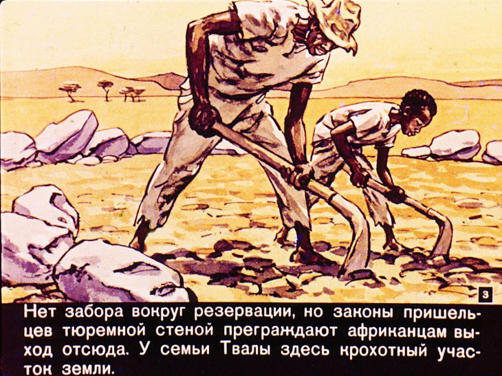 Кадр 3 диафильма «Твала из Южной Африки»