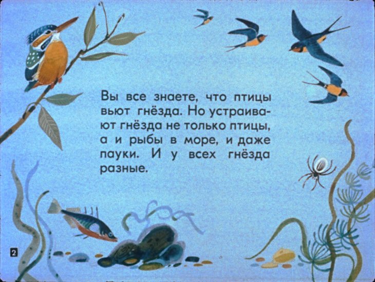 Кадр 2 диафильма «Кто где живет»