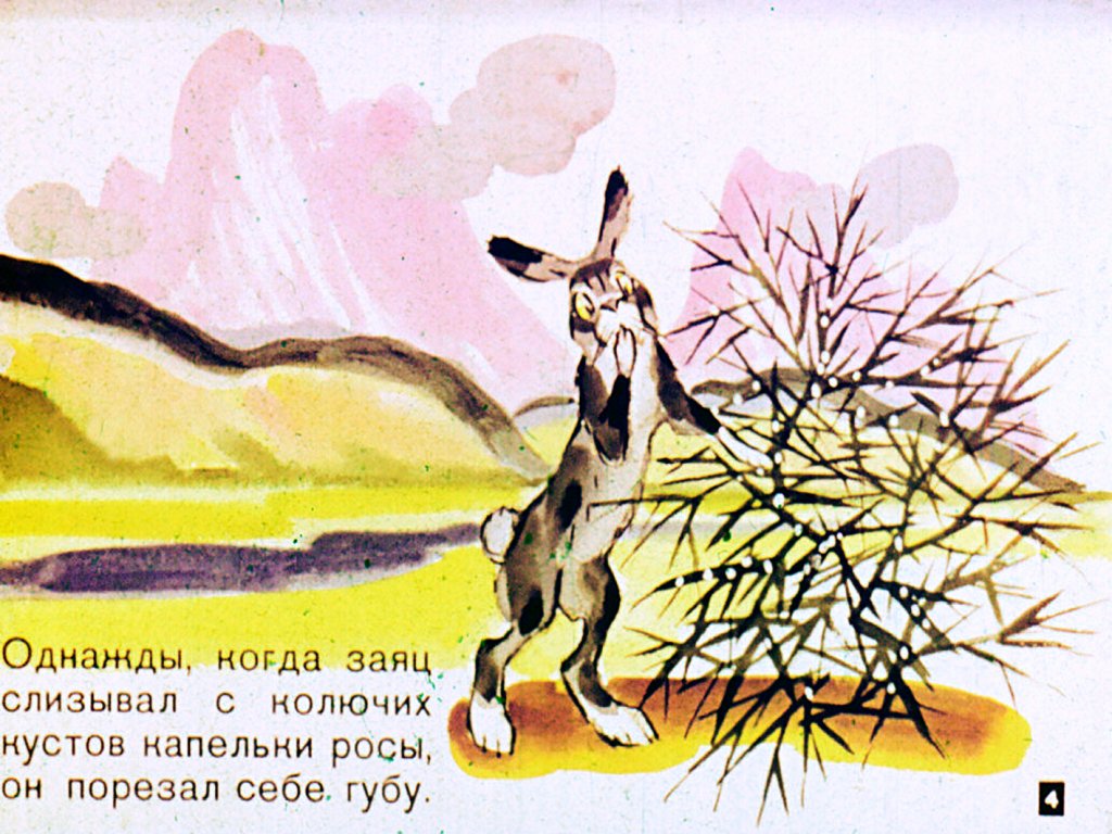 Кадр 4 диафильма «Четыре "Почему?"»