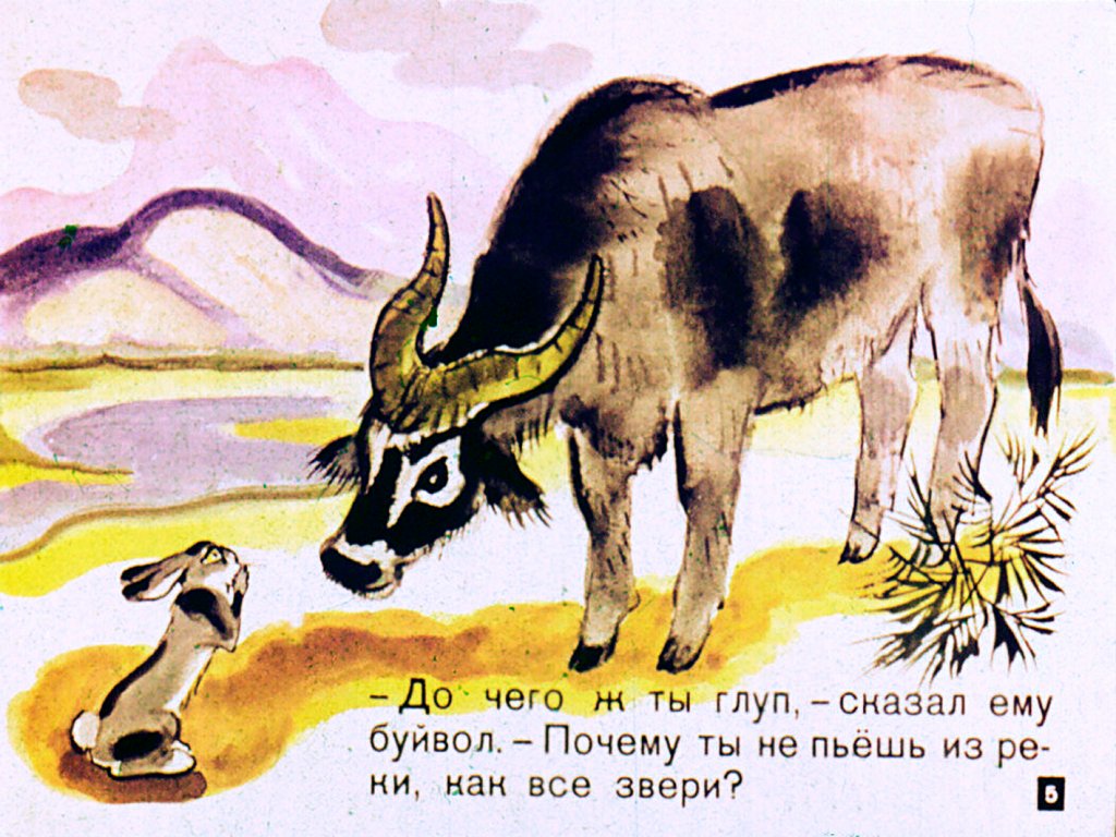 Кадр 5 диафильма «Четыре "Почему?"»
