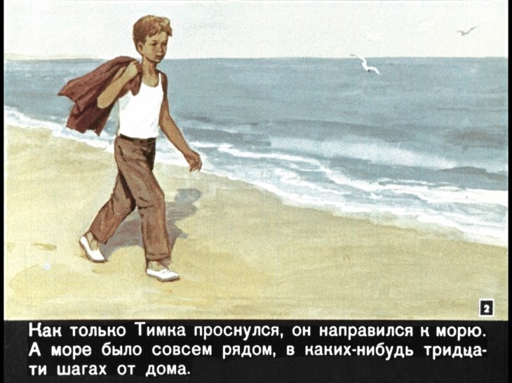 Кадр 2 диафильма «Мальчик и чайка»