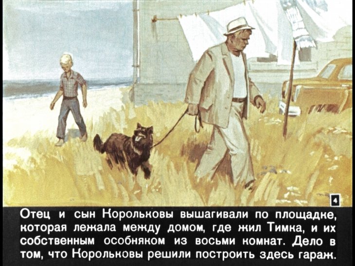 Кадр 4 диафильма «Мальчик и чайка»