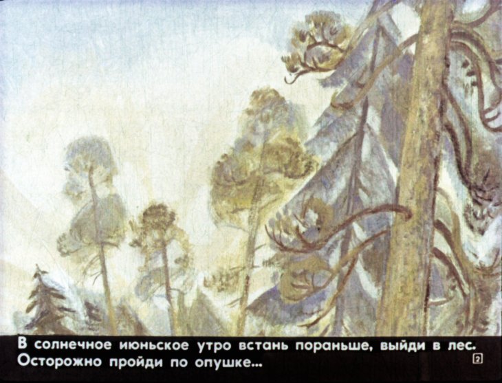 Кадр 2 диафильма «Медведь и бурундук»