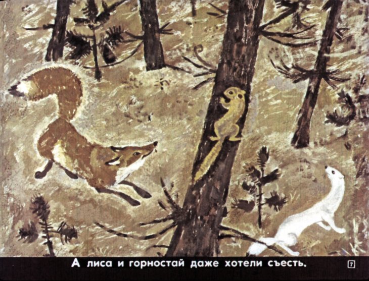 Кадр 7 диафильма «Медведь и бурундук»