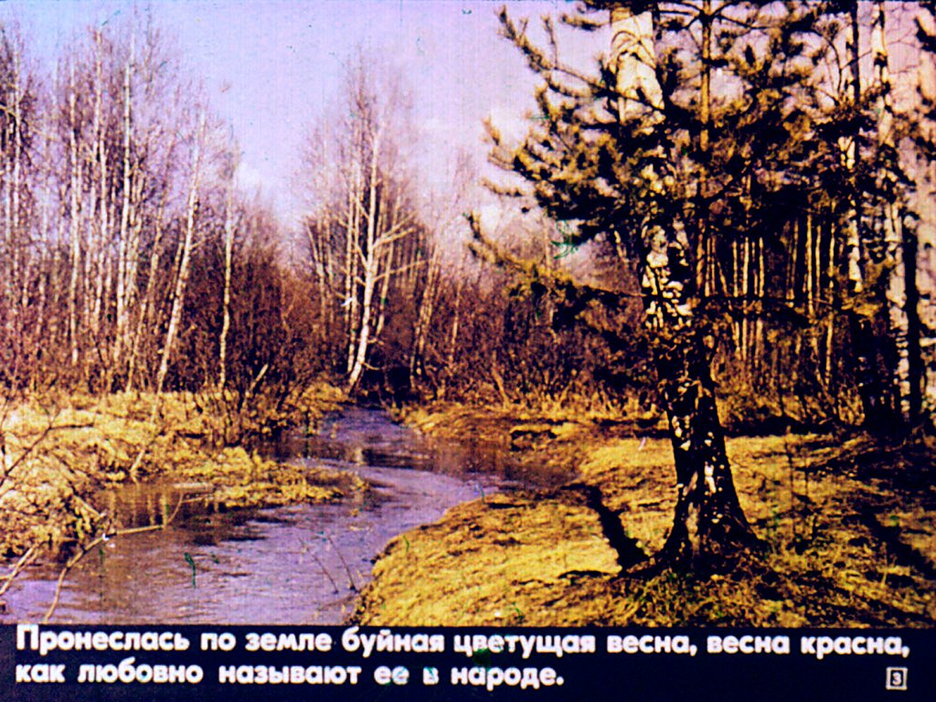 Кадр 3 диафильма «Лето»