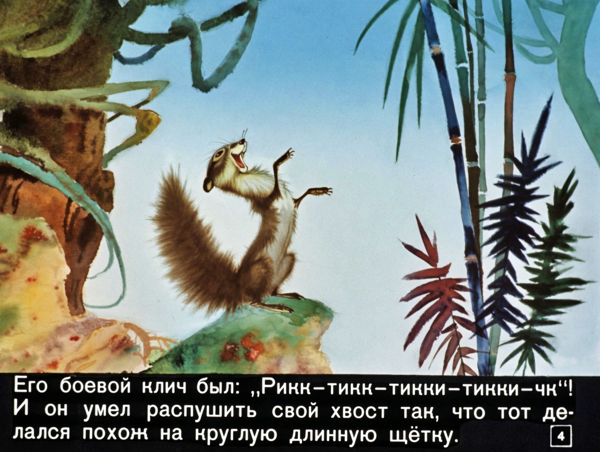 Кадр 3 диафильма «Рикки-Тикки-Тави»