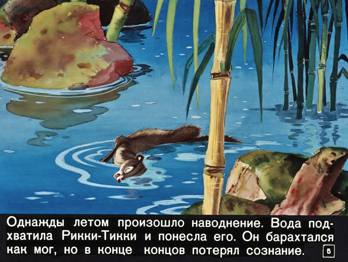 Кадр 4 диафильма «Рикки-Тикки-Тави»
