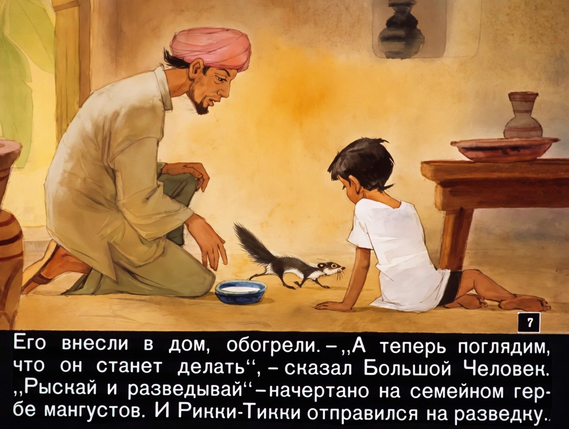 Кадр 6 диафильма «Рикки-Тикки-Тави»