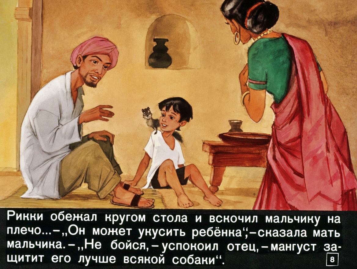 Кадр 7 диафильма «Рикки-Тикки-Тави»